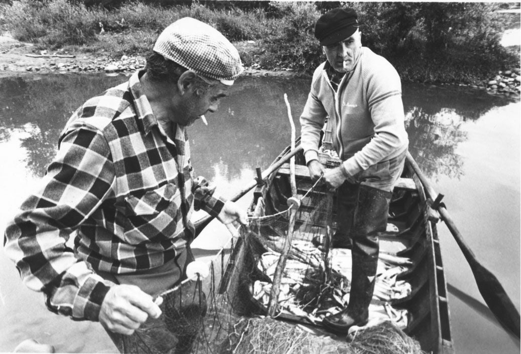De cuando los peces para el reparto del 11 de junio eran del Ebro...