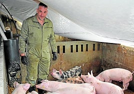 César Gil en su explotación de Rincón de Olivedo.