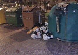 Contenedor lleno y numerosas bolsas esparcidas, hoy en el La Guindilla.