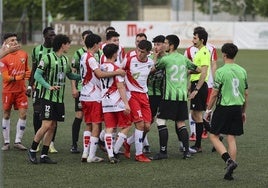 Los jugadores del Tedeón y el Casalarreina, durante una discusión en el partido de ayer.