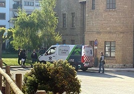 El detenido ha llegado a los juzgados en ambulancia.