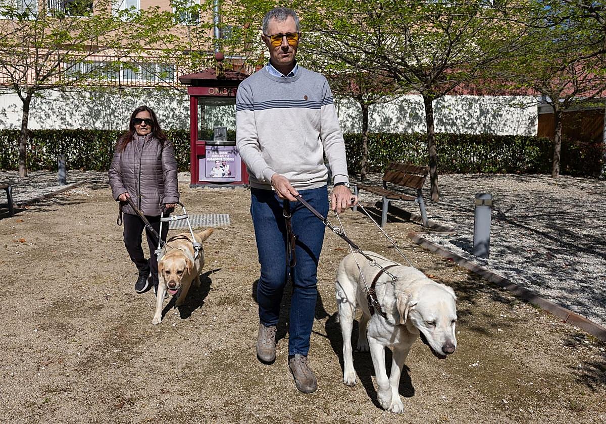 Mariví Martínez y César Ortiz caminan con sus perros guía Ulla y Ellrom por la sede de la ONCE en La Rioja.