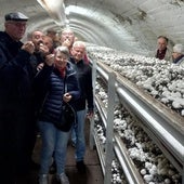 Visita a un cultivo de champiñón en Pradejón.