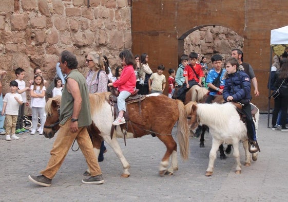 Un grupo de niños disfruta de los paseos en burro ofrecidos durante la celebración del mercado medieval en la plaza de Santa María.