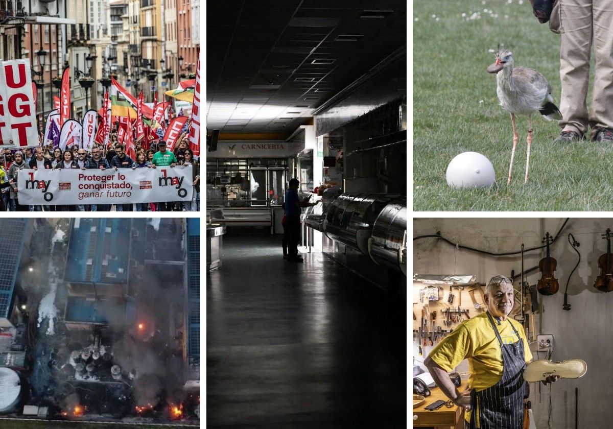 Las mejores fotos de la semana