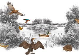 Los animales del Ebro, de uno en uno