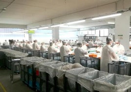 La empresa Arneplant, en plena pandemia, elabora mascarillas