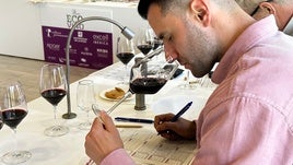 Estos son los medallistas de los Premios Ecovino