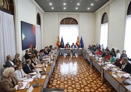 La ministra de Juventud e Infancia, Sira Rego, preside la reunión del Pleno de la Conferencia Sectorial de Infancia y Adolescencia.