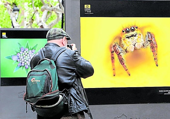 Fotografía de Naturaleza en el Espolón