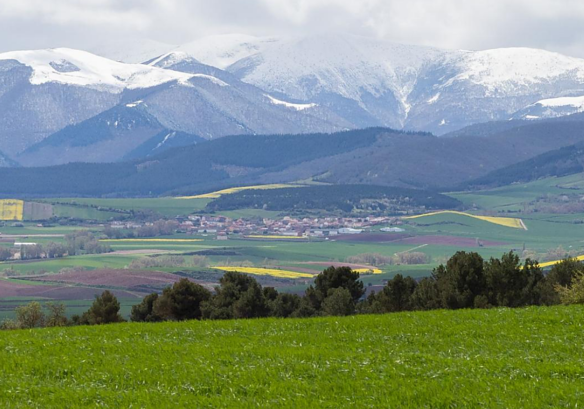 Panorámica en la que se observa la zona en la que estaba proyectada la planta de biogás.