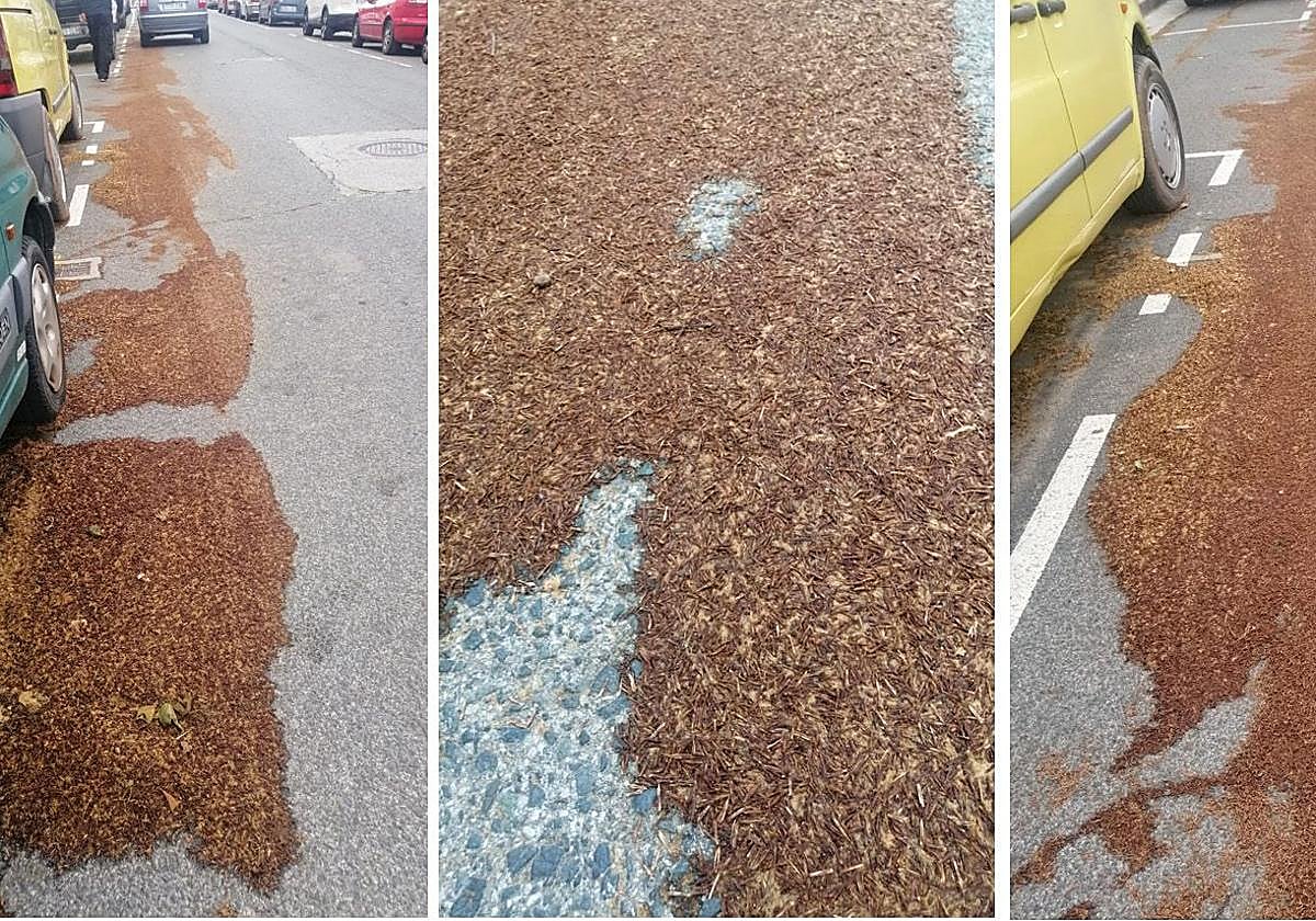 El Teléfono del Lector