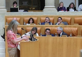 Un momento del pleno de este jueves en La Merced.