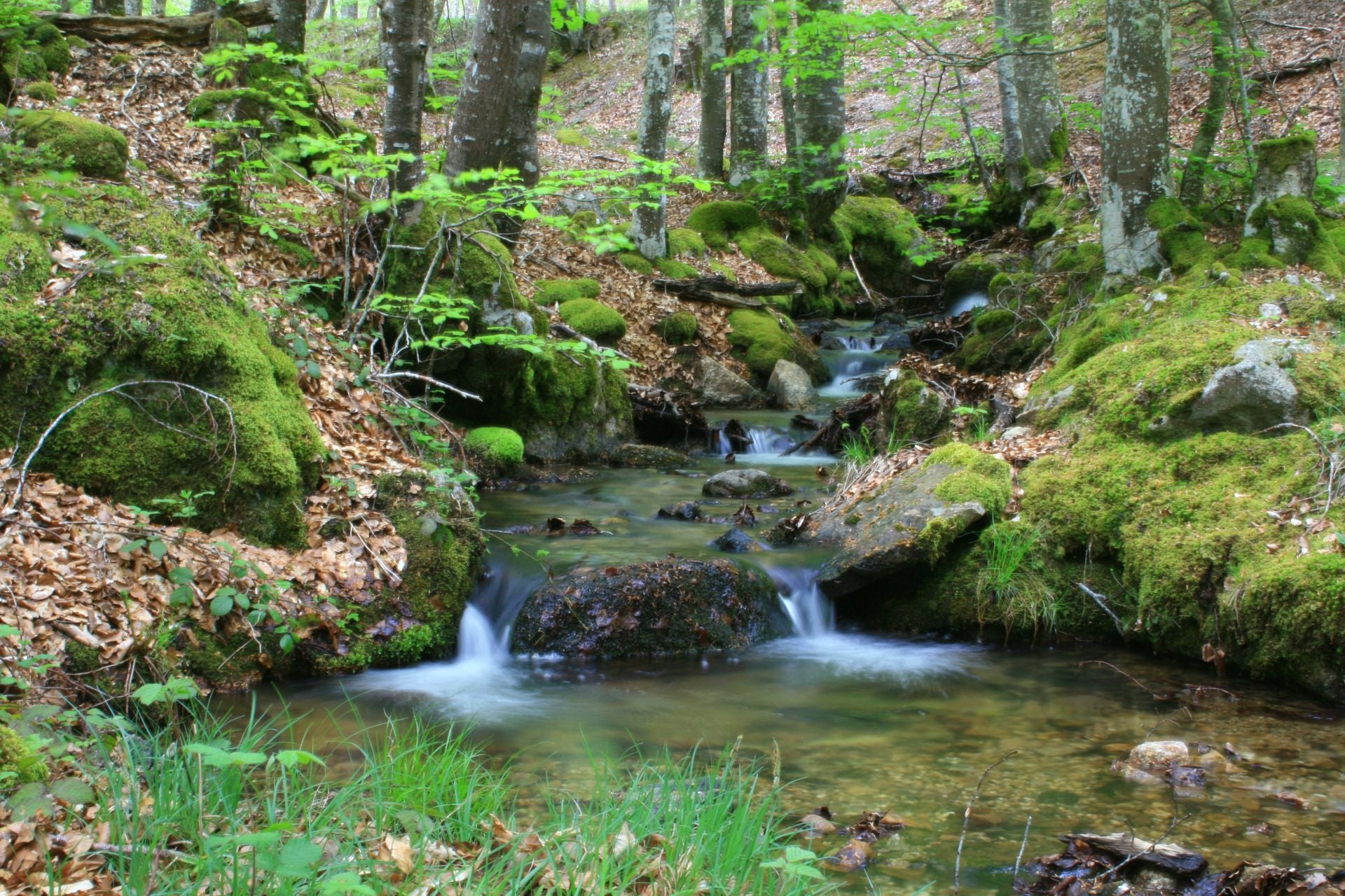 Primavera en el Naútico de El Rasillo