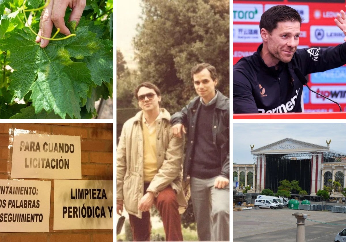 Las noticias imprescindibles