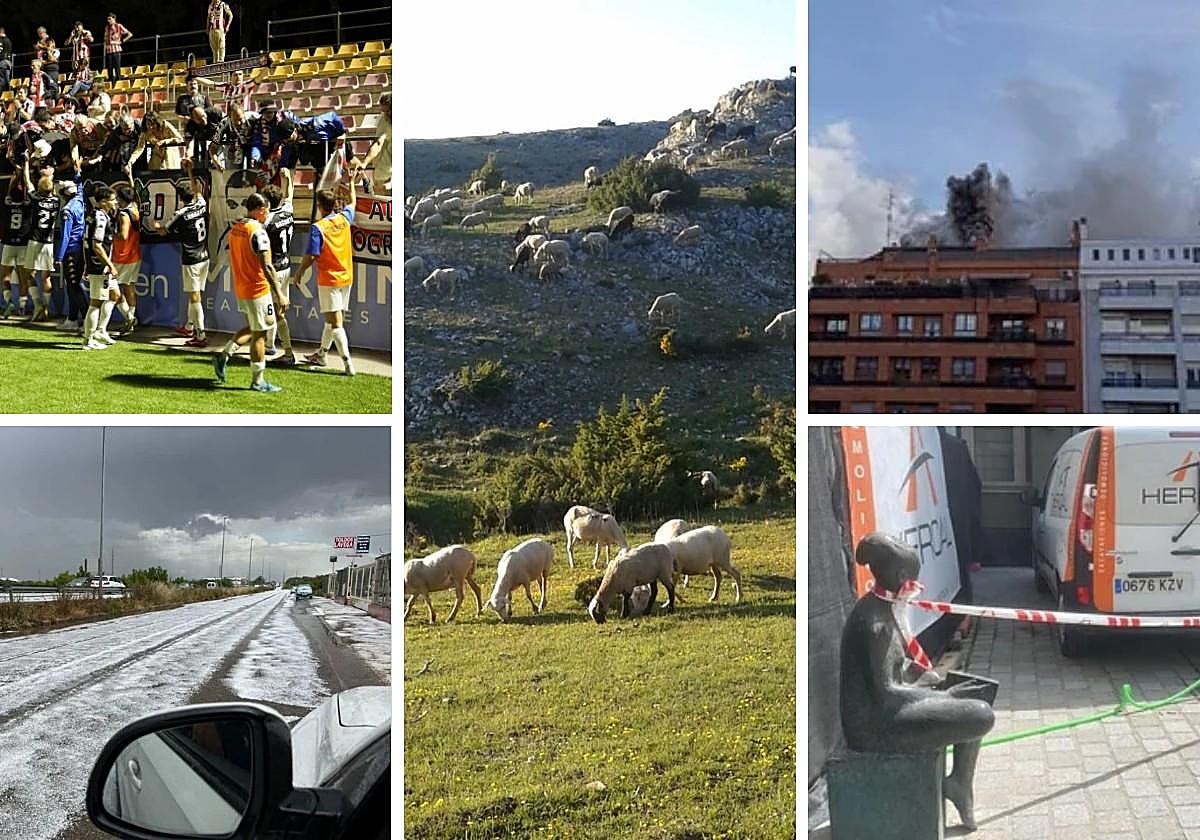 Las noticias imprescindibles