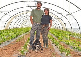 En la ribera del Ebro. Ignacio Rodanés y Elena del Río, en uno de sus invernaderos con pochas..