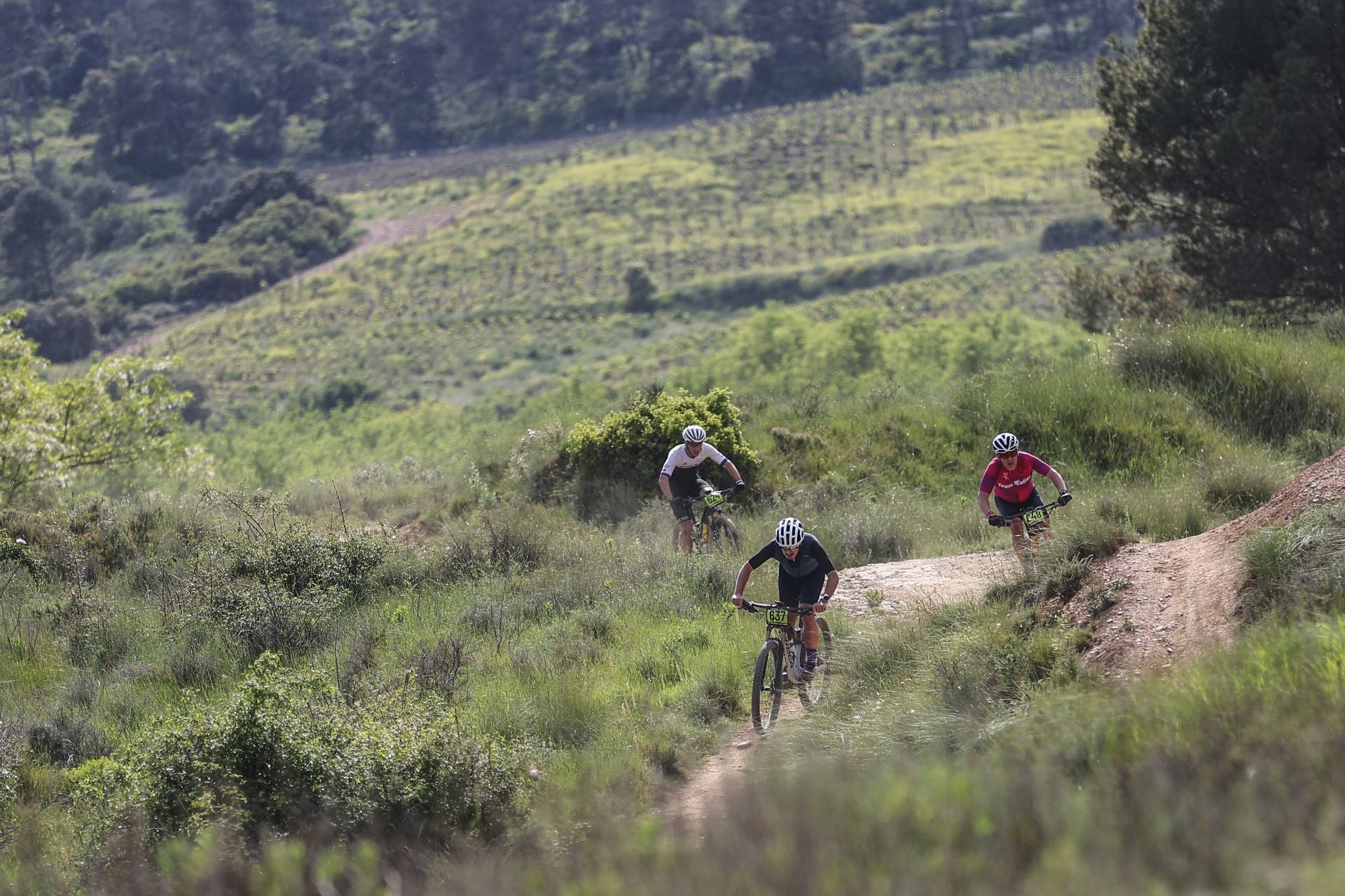 Las imágenes de La Rioja Bike Race