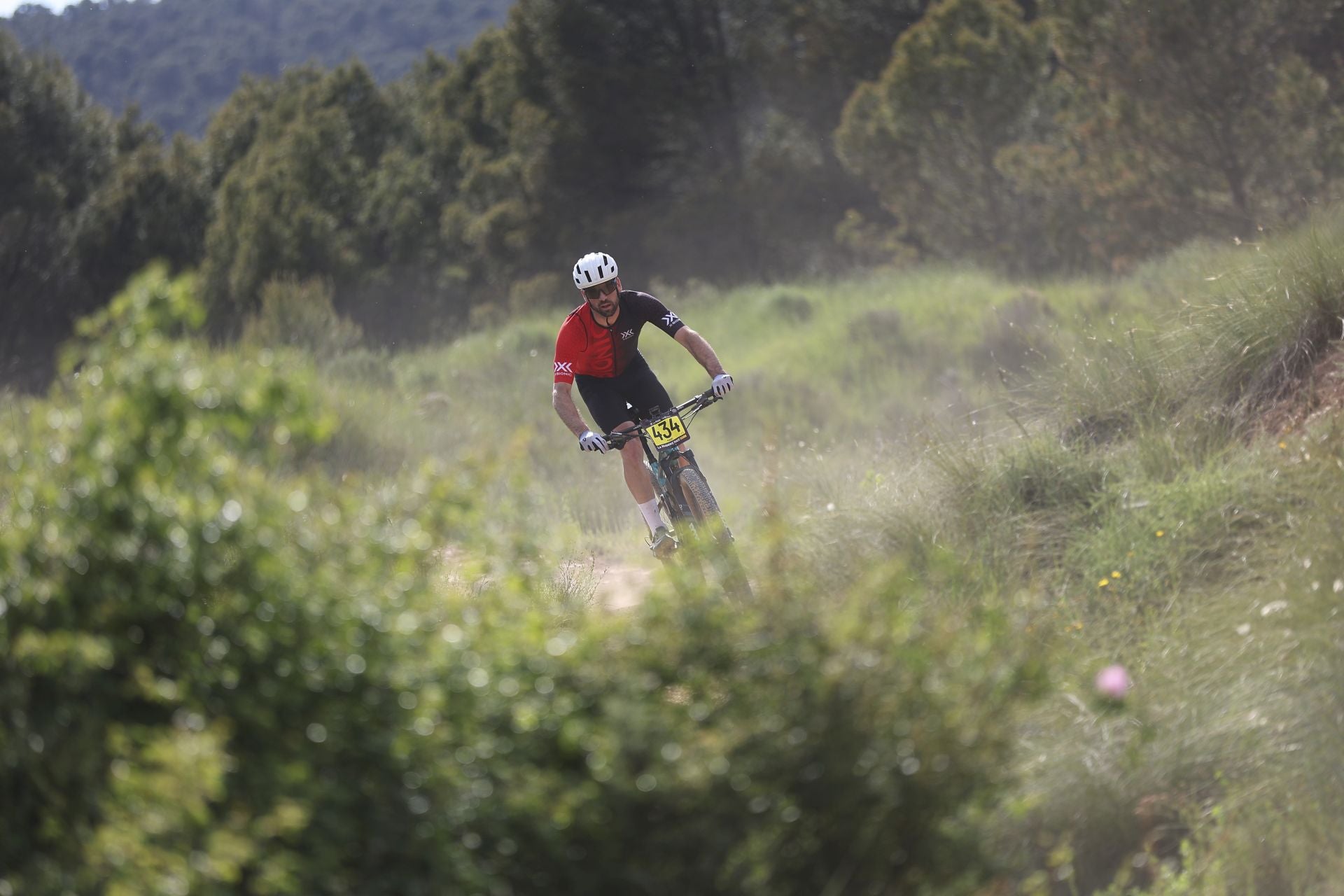 Las imágenes de La Rioja Bike Race
