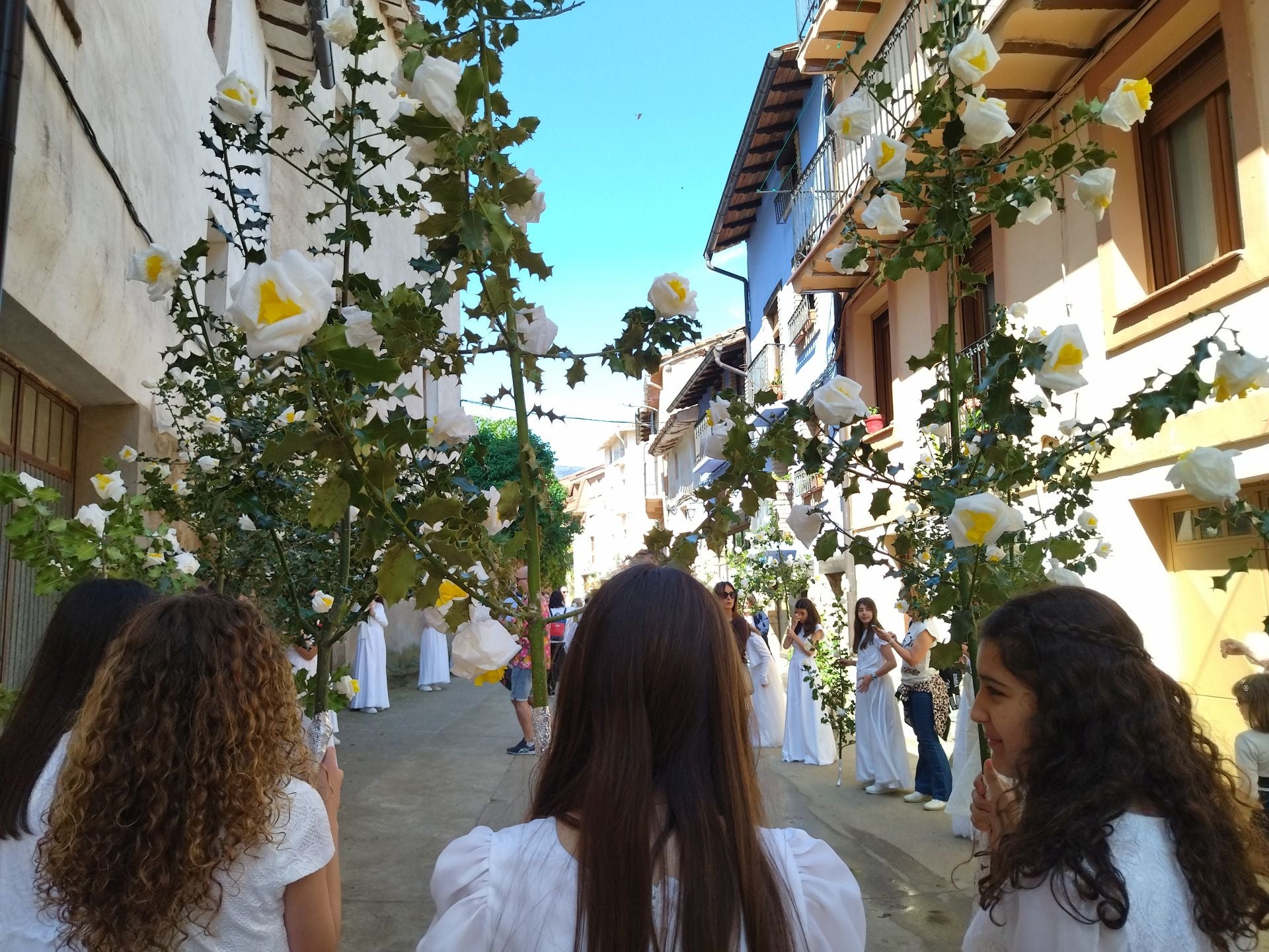Las imágenes de la procesión de las Doncellas de Sorzano