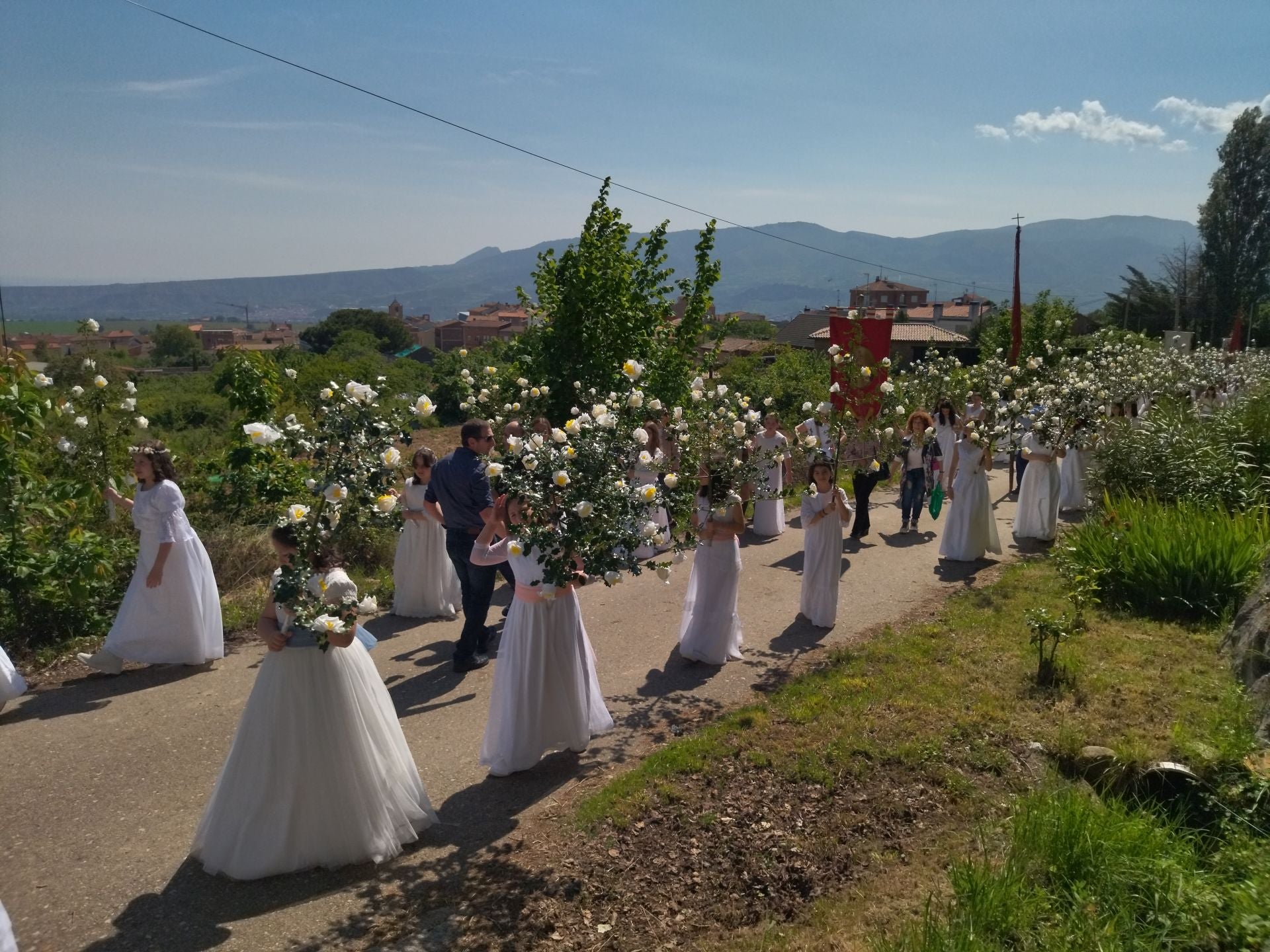 Las imágenes de la procesión de las Doncellas de Sorzano