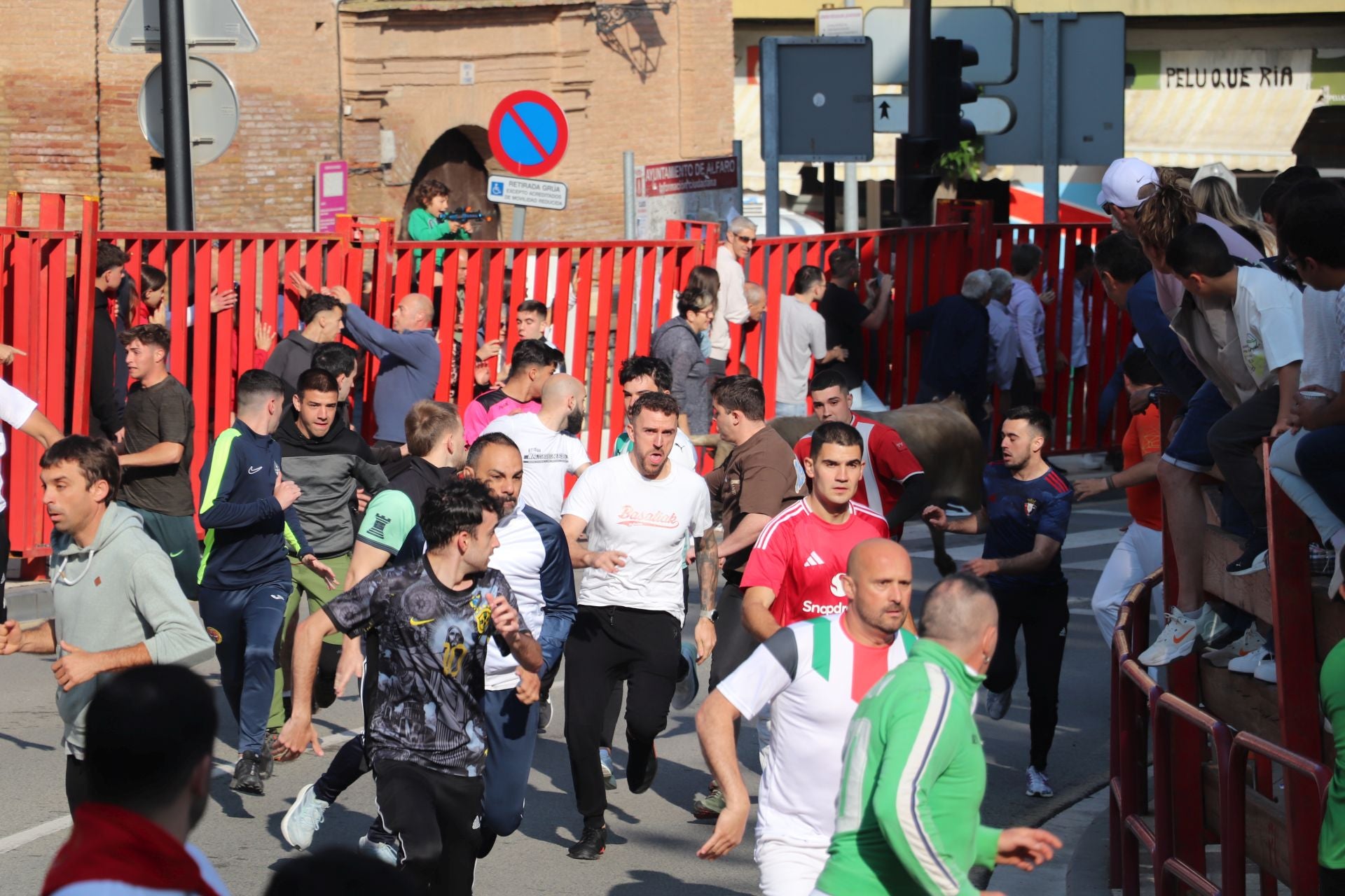 Las fiestas de San Isidro en Alfaro llegan a su fin