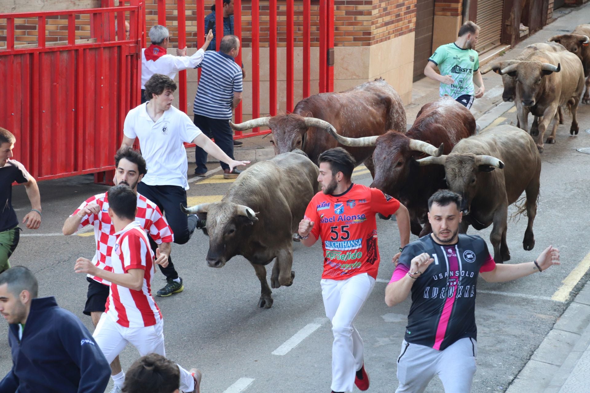 Las fiestas de San Isidro en Alfaro llegan a su fin
