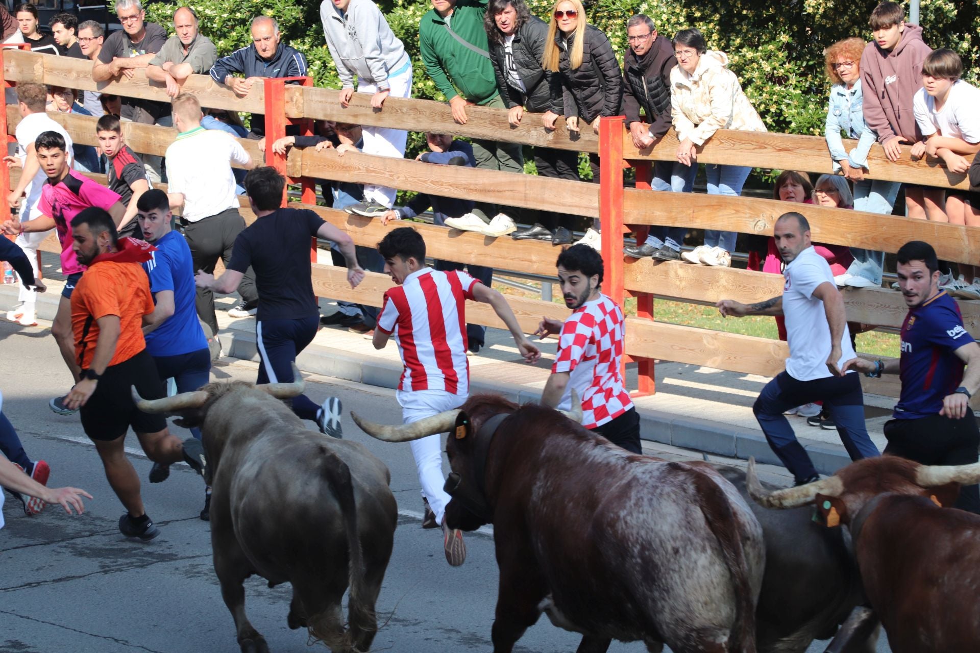 Las fiestas de San Isidro en Alfaro llegan a su fin
