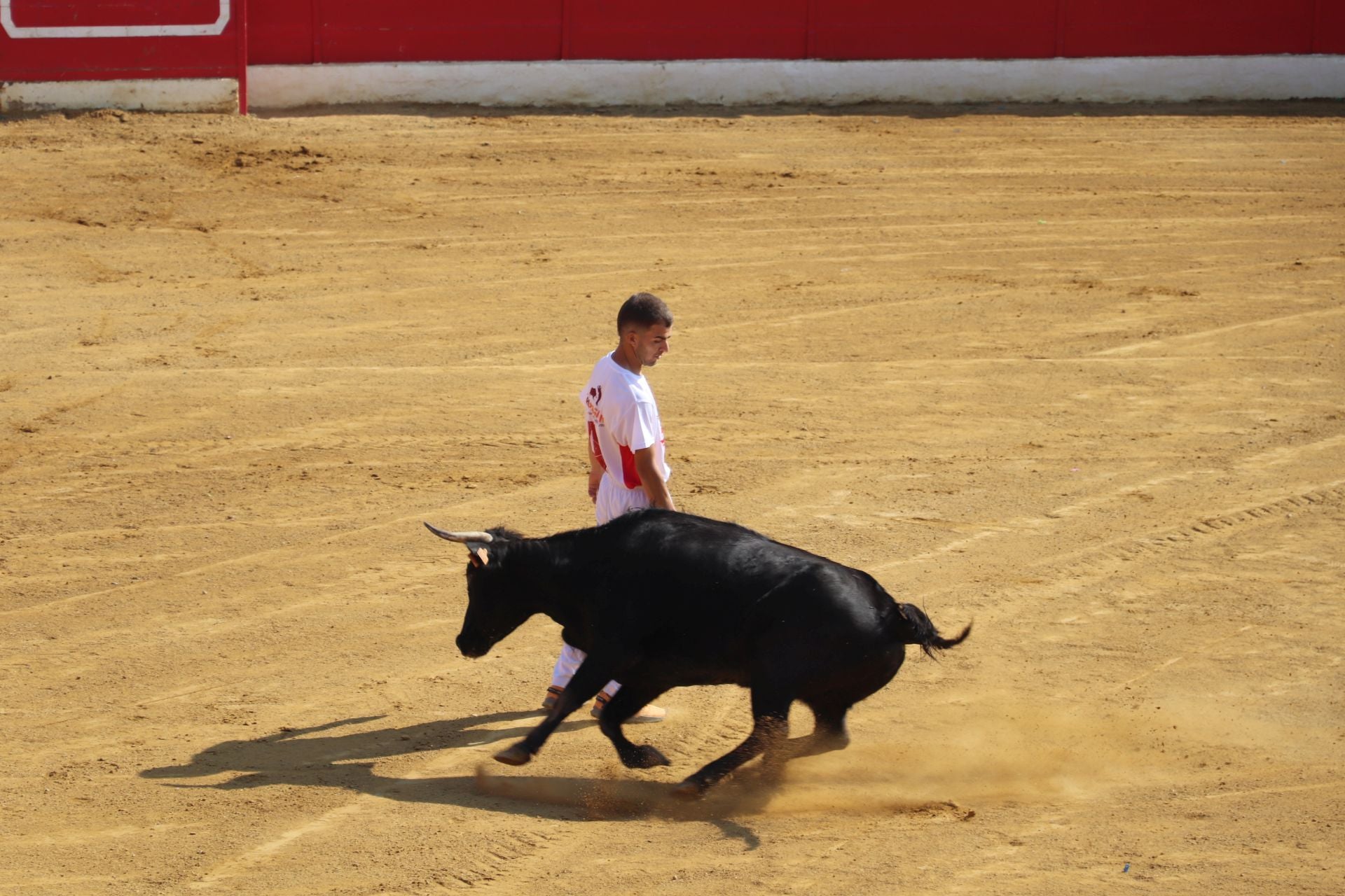 Las fiestas de San Isidro en Alfaro llegan a su fin