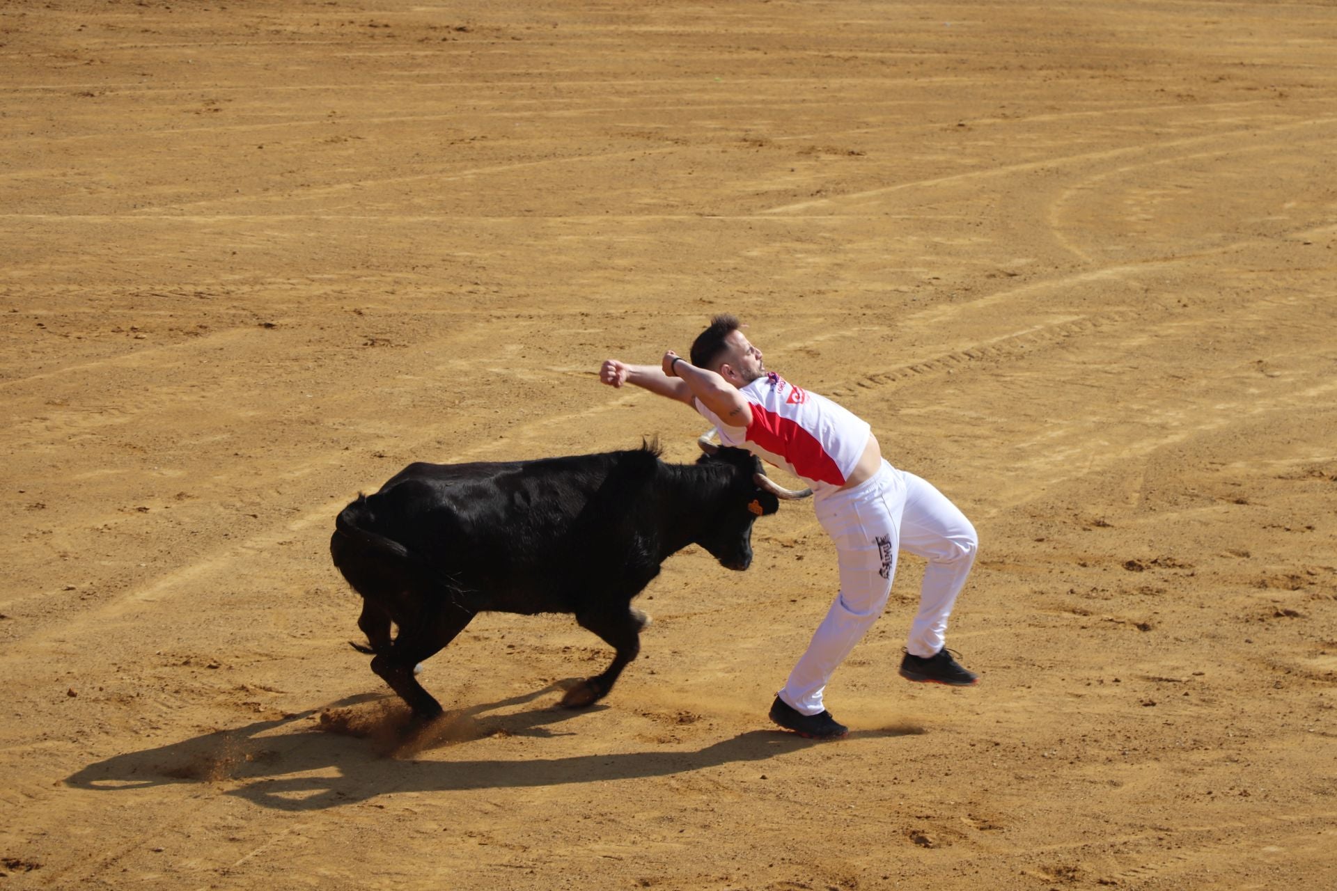 Las fiestas de San Isidro en Alfaro llegan a su fin