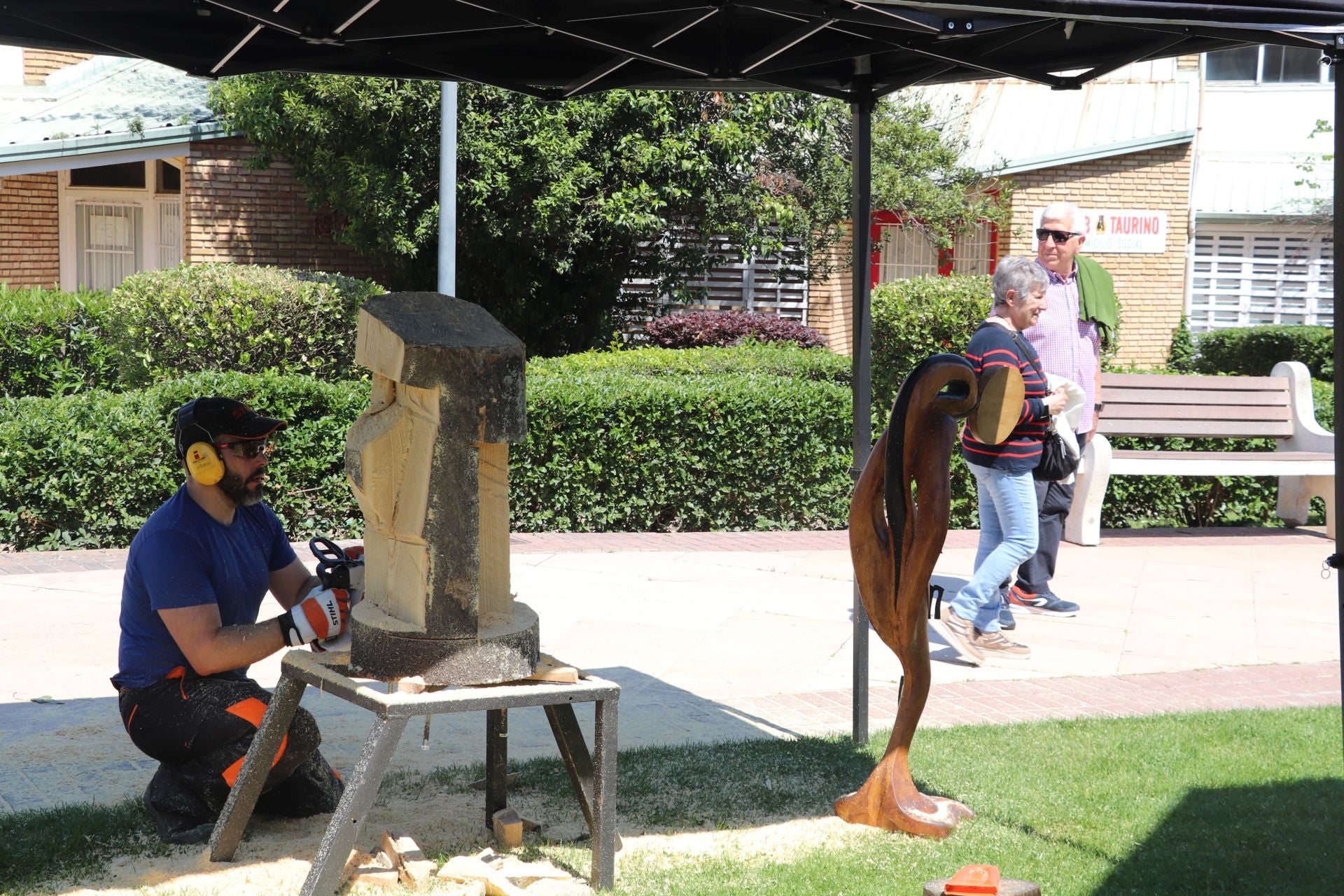 Las fiestas de San Isidro en Alfaro llegan a su fin