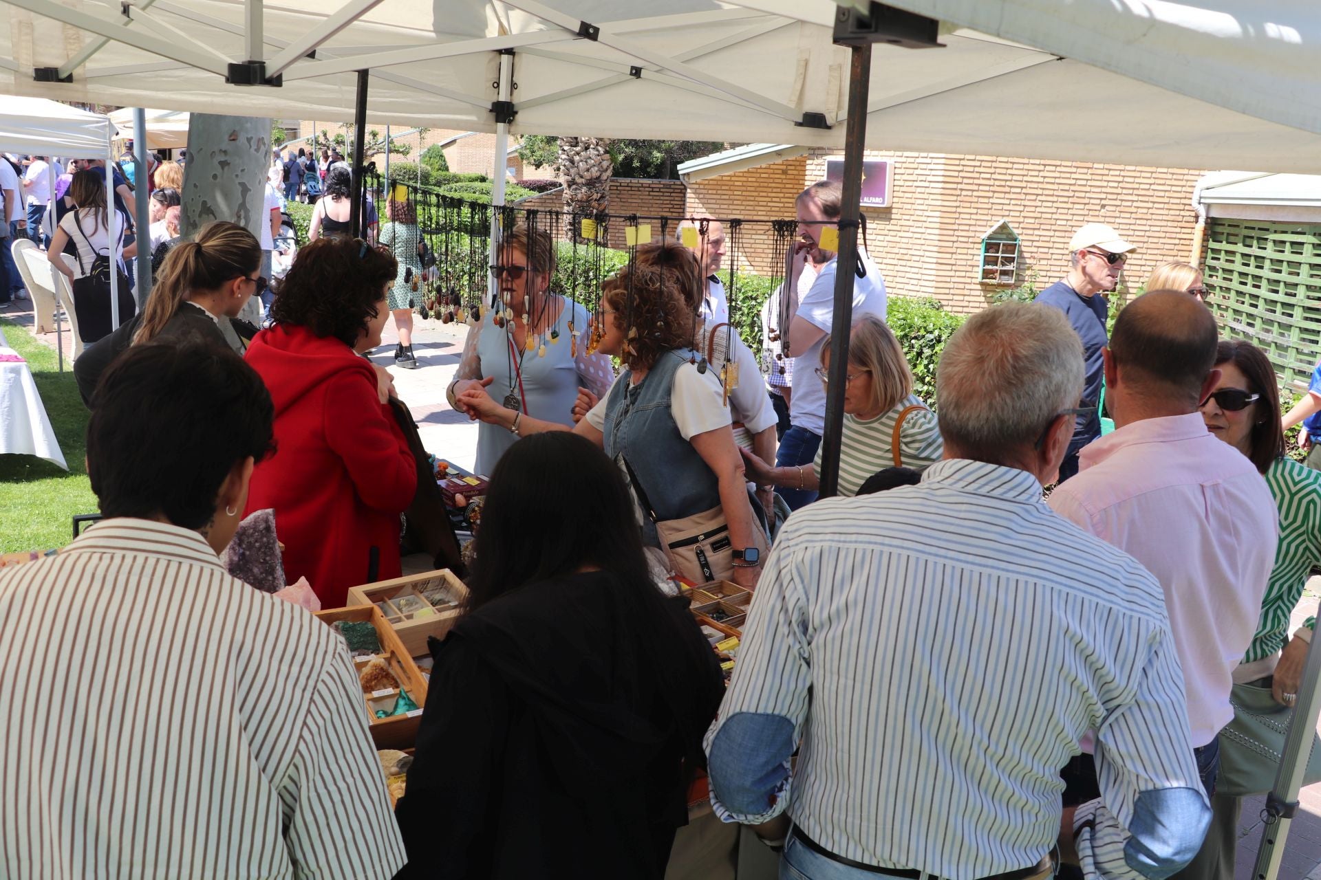 Las fiestas de San Isidro en Alfaro llegan a su fin