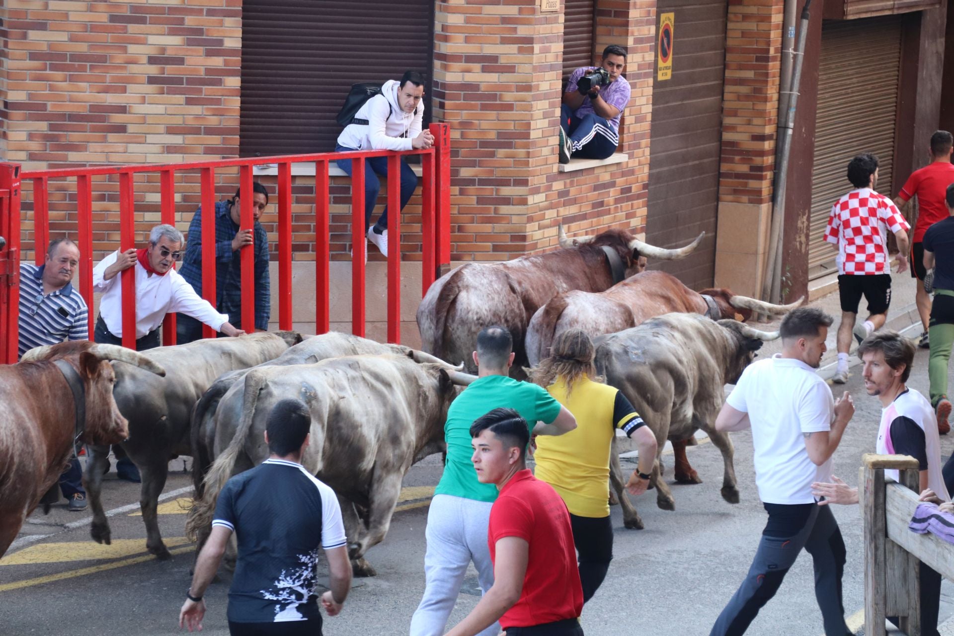 Las fiestas de San Isidro en Alfaro llegan a su fin