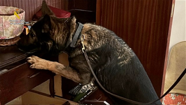 Las imágenes del operativo antidroga en La Rioja y el norte de España