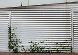 El Teléfono del Lector de hoy