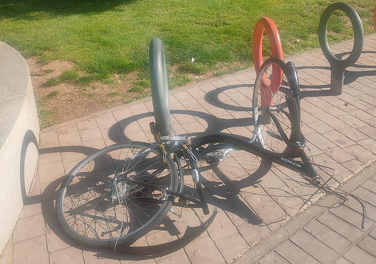 El Teléfono del Lector