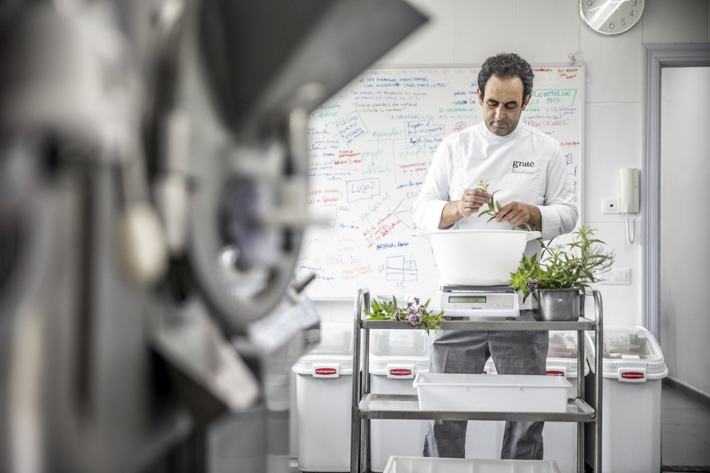 Fernando Sáenz, con hierbas aromáticas, en el Obrador Grate.