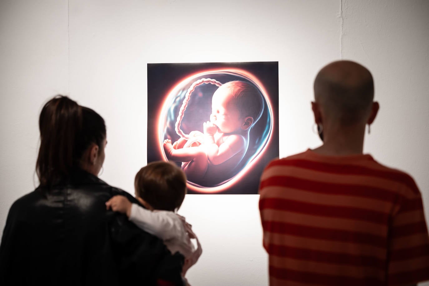 Las imágenes de la exposición &#039;Fast&#039; en la Esdir