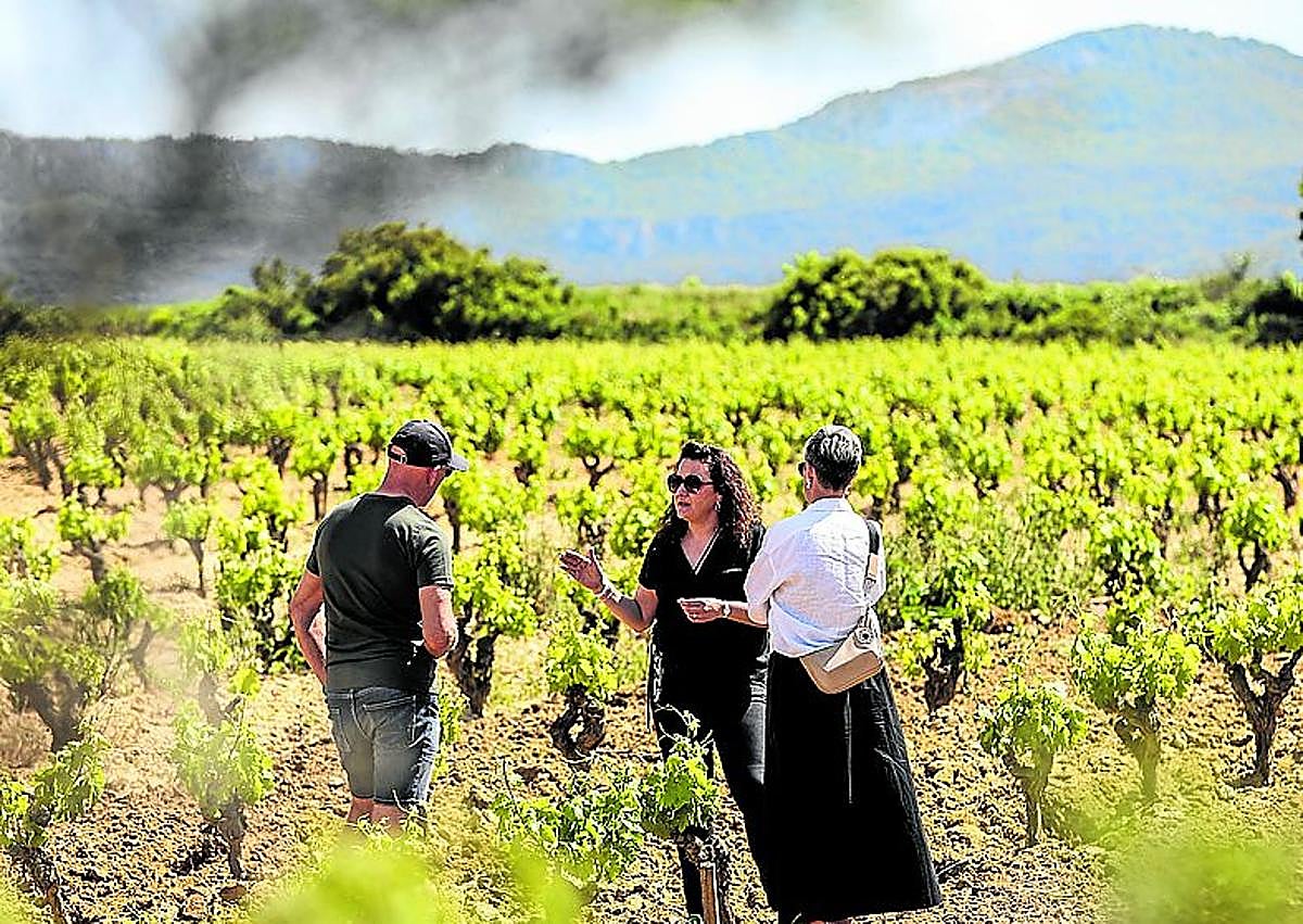 Imagen secundaria 1 - Castillo de Mendoza. Ecológicos por convicción