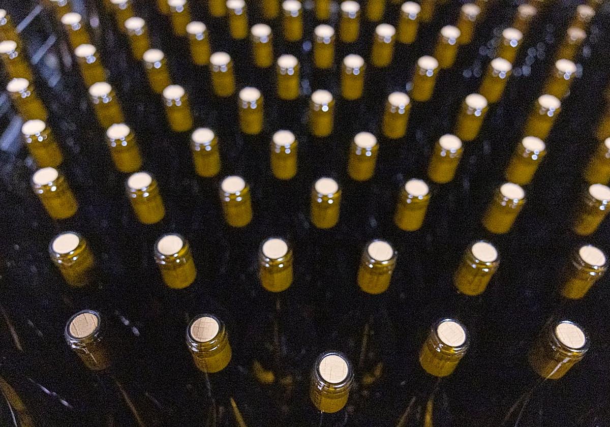 Botellas de vino preparadas para su etiquetado.