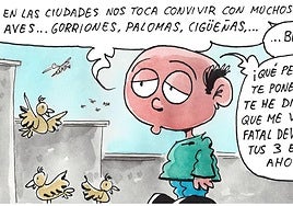 Las aves de Logroño, según Tris