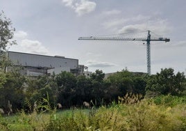 Empresa de Andosilla donde se ha producido el accidente laboral.