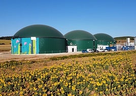 Planta de biogás de Ólvega (Soria).