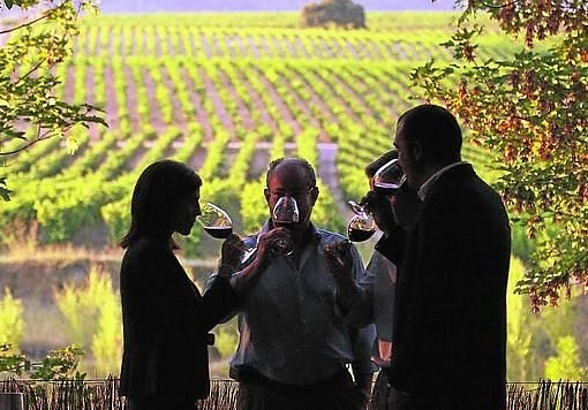 Rioja lidera el enoturismo nacional pero sigue perdiendo cuota de mercado entre las DOP