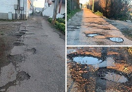 El Teléfono del Lector