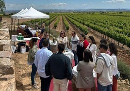 Una de las actividades con más demanda es la cata en el Mirador de las Viñas.