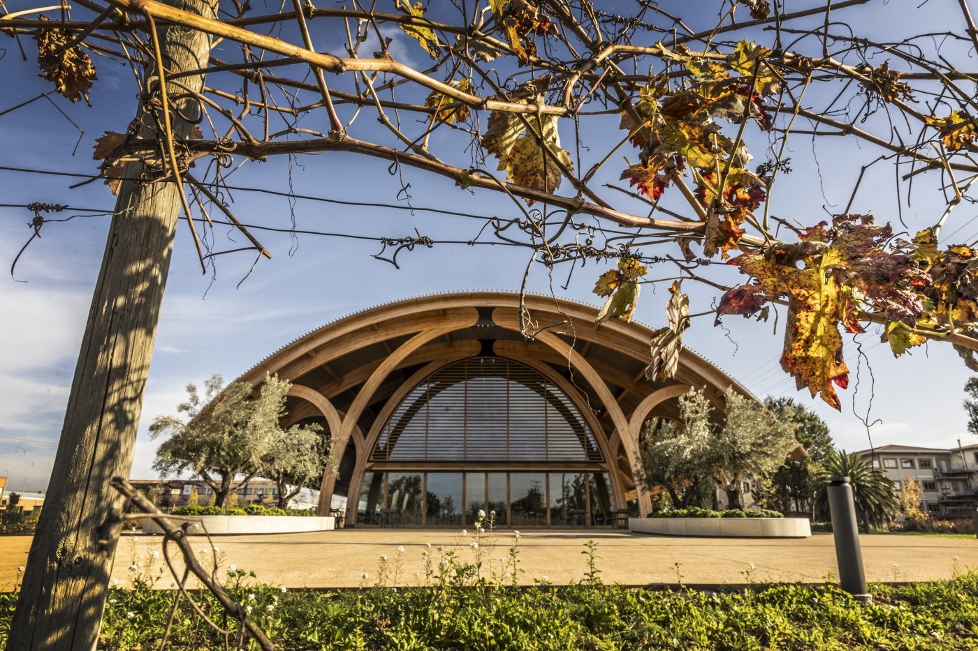 El nuevo edificio de Bodegas Faustino, hace unos meses.