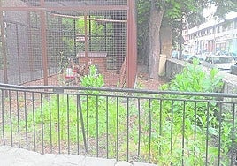 El mal estado de algunas zonas verdes, hoy en La Guindilla.