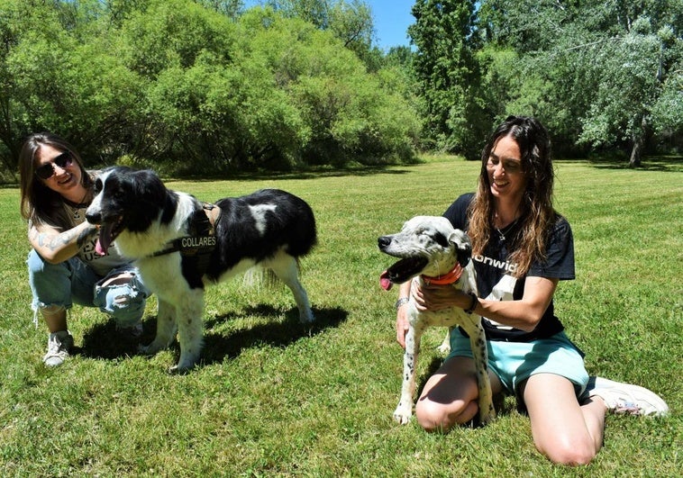 Silvina Rivera posa con Collares, a quien le falta la pata trasera izquierda, y Johana Martínez posa con Coma, a quien le falta el ojo izquierdo, en el parque del Iregua de Logroño.