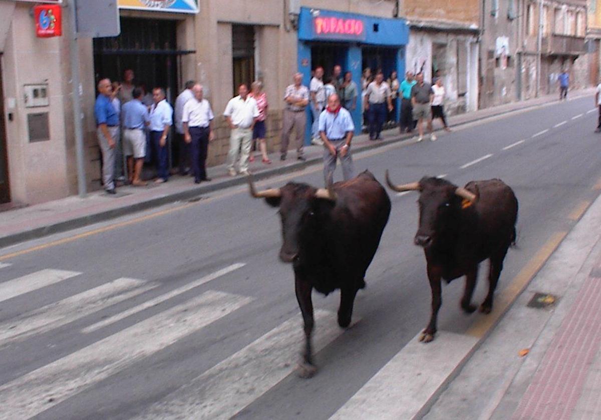 Vaquillas en Cervera, en una imagen de archivo.